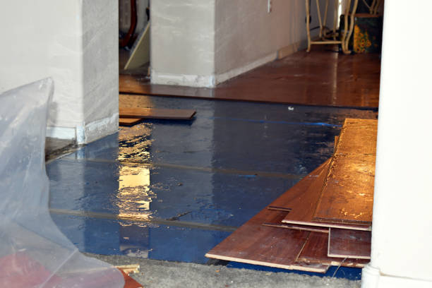 Professional Basement Flood Cleanup technician working in Rex, GA